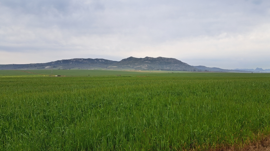 0 Bedroom Property for Sale in Malmesbury Rural Western Cape